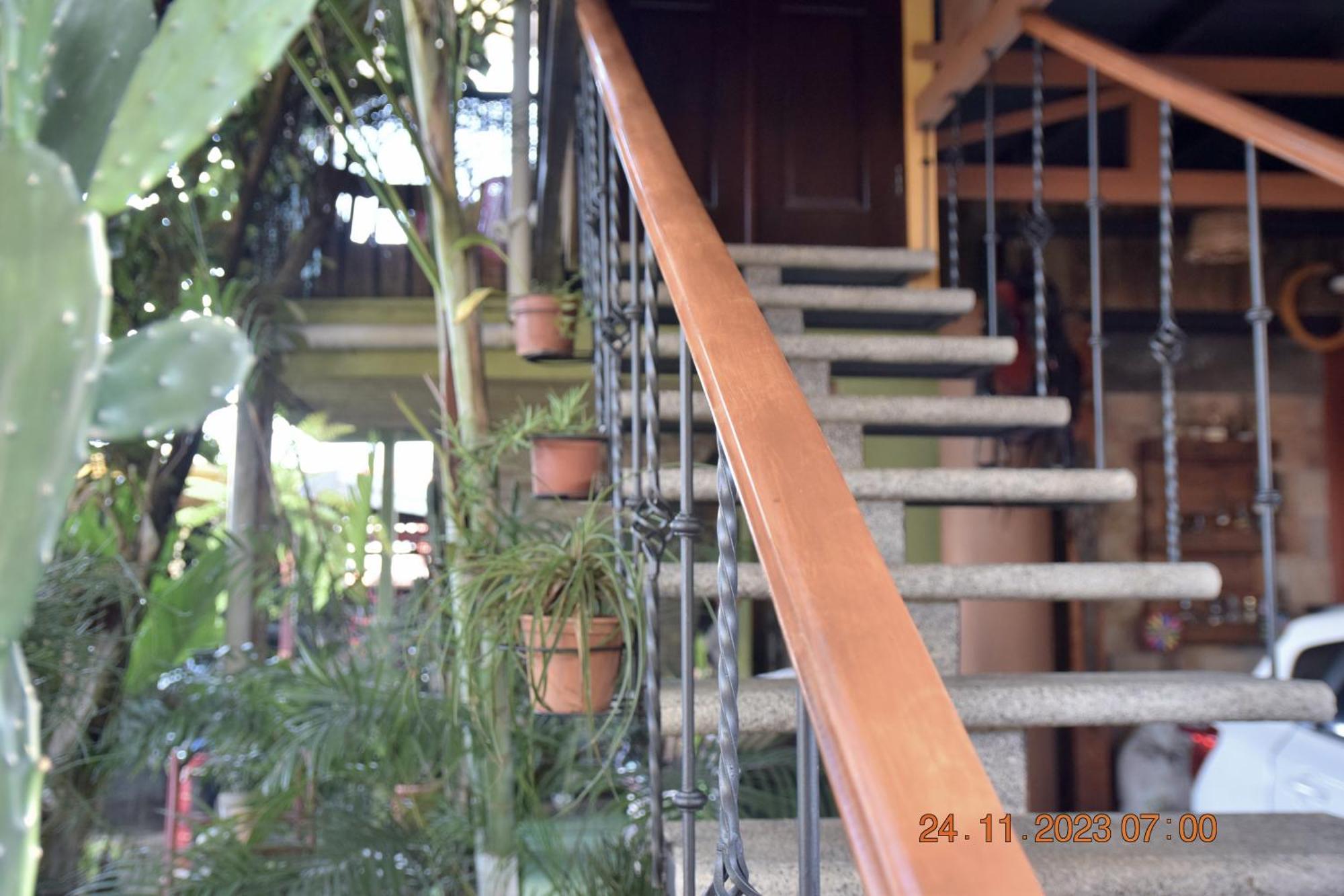 Casa Cora Apartment Heredia Ngoại thất bức ảnh